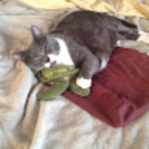 Meet your Posher, Elizabeth